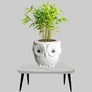 KRISHI MITRA Owl Pot with Colour Stone for Decoration | Perfect for Garden & Home Decor, Table Decor Flower Pot | High Graded Nylon Plastic Owl | Without Plant (Pack of 4 with Colour Stone)