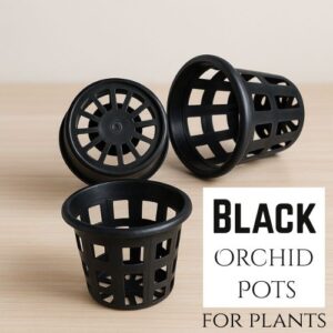 KRISHI MITRA Orchid Pots 3 Inch (100% Virgin Nylon Plastic Black) for Plants,Hydroponic Gardening,Net Pots for Indoor and Outdoor Gardening|Pots for Orchid with Extra Holes (Pack of 10)